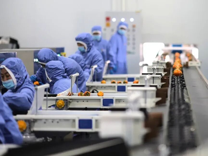 一家外企的向善力量