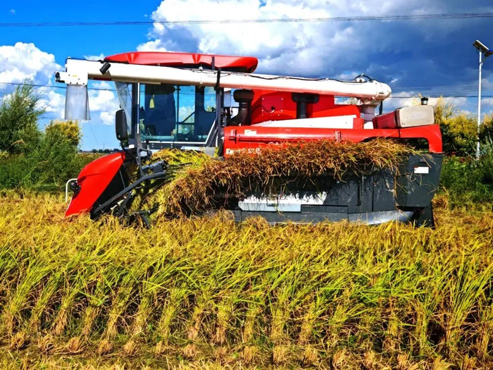 一家外企的向善力量